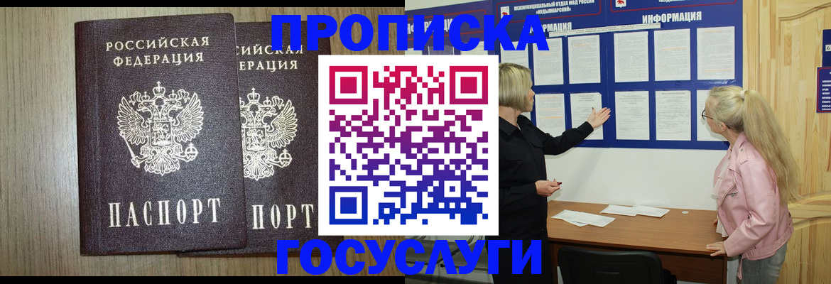 временная регистрация госуслуги в Никольском